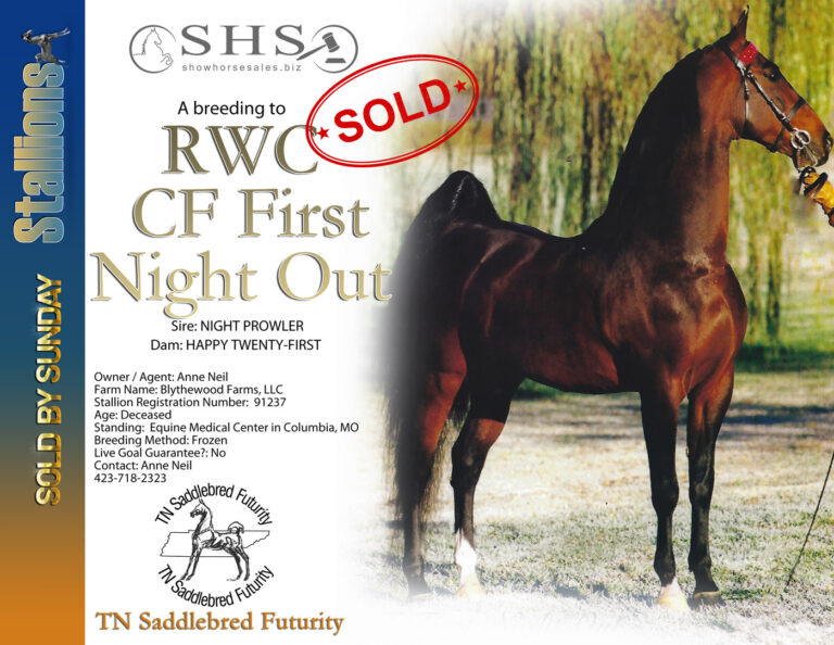46-1-SHS_Stallions-2023_CF-First-Night-Out