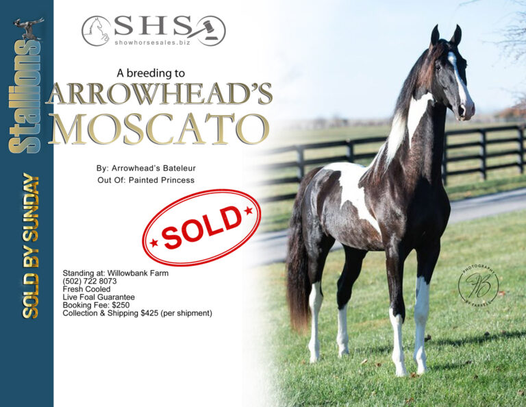 31-1-Arrowhead's-Moscato