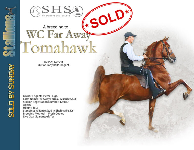 34-1-Far-Away-Tomahawk