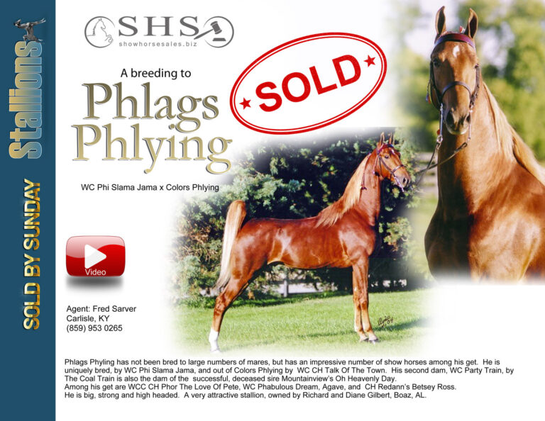 18-1-Phlags-Phyling