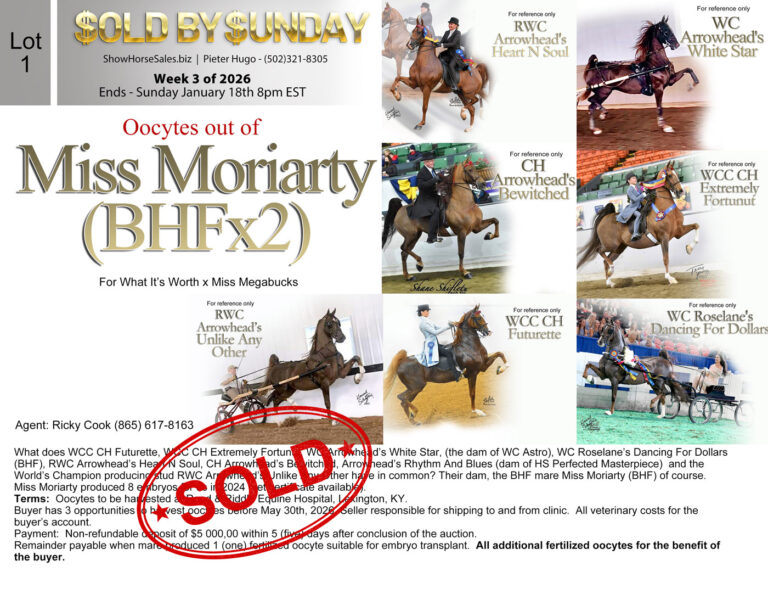 1-1-SHS_Week-3-of-2026